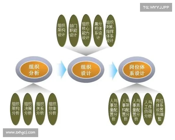 以分主负为核心分析现代管理中的权责分配与决策制定模式 以分主负为核心分析现代管理中的权责分配与决策制定模式